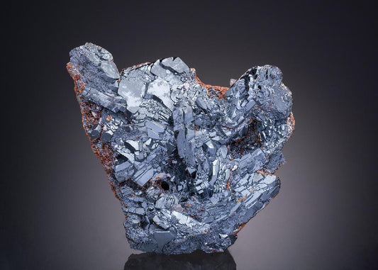 CC31915 specimen image