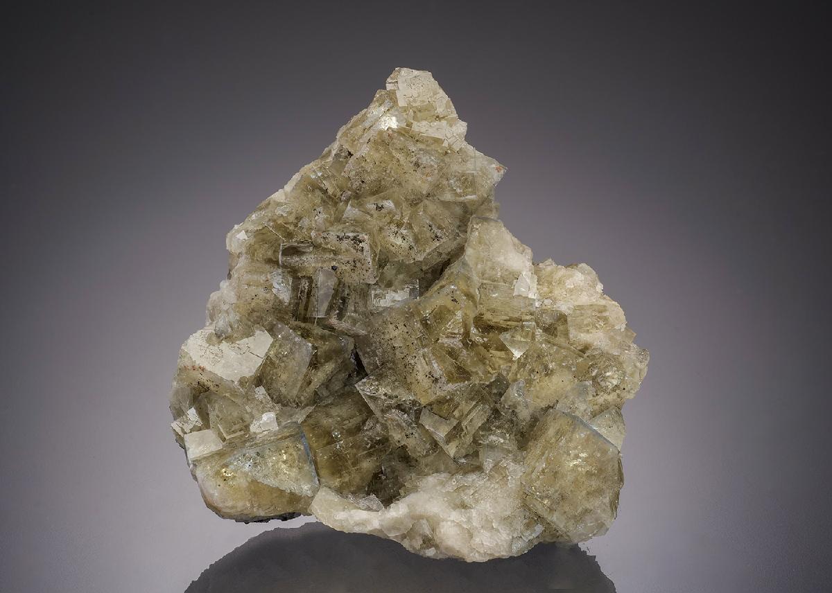 CC31936 specimen image