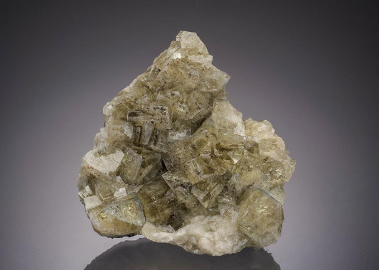 CC31936 specimen image