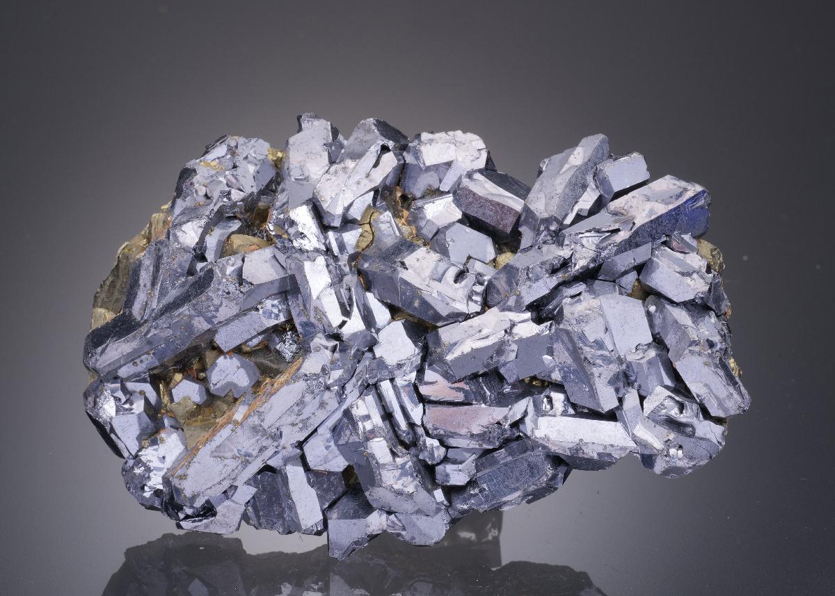 CC31963 specimen image
