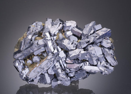 CC31963 specimen image