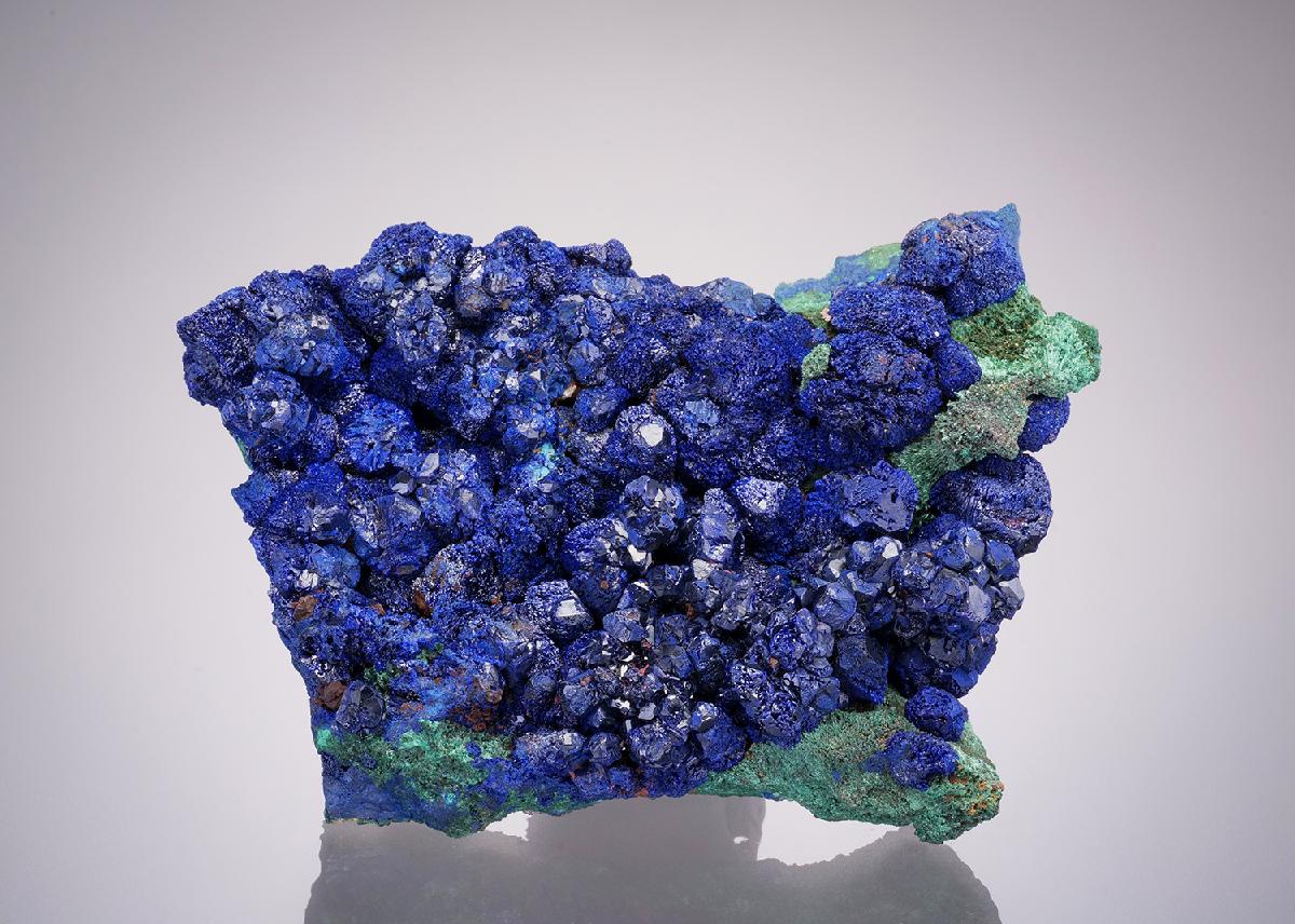 CC31975 specimen image