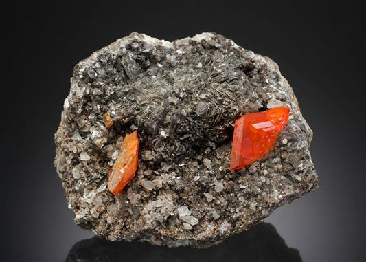 CC3201 specimen image