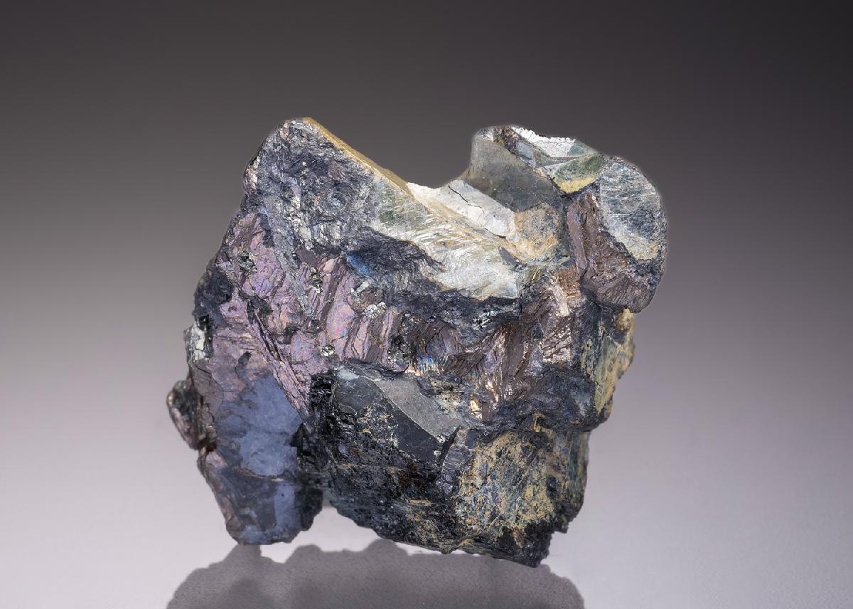 CC32017 specimen image