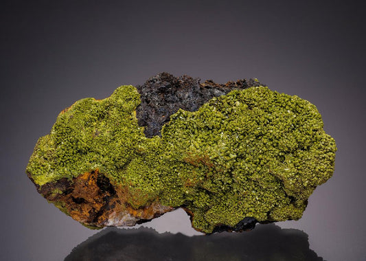 CC32080 specimen image
