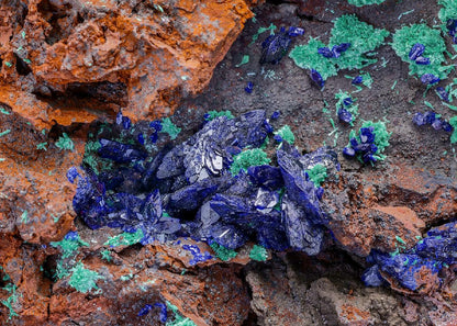 CC3213 specimen image