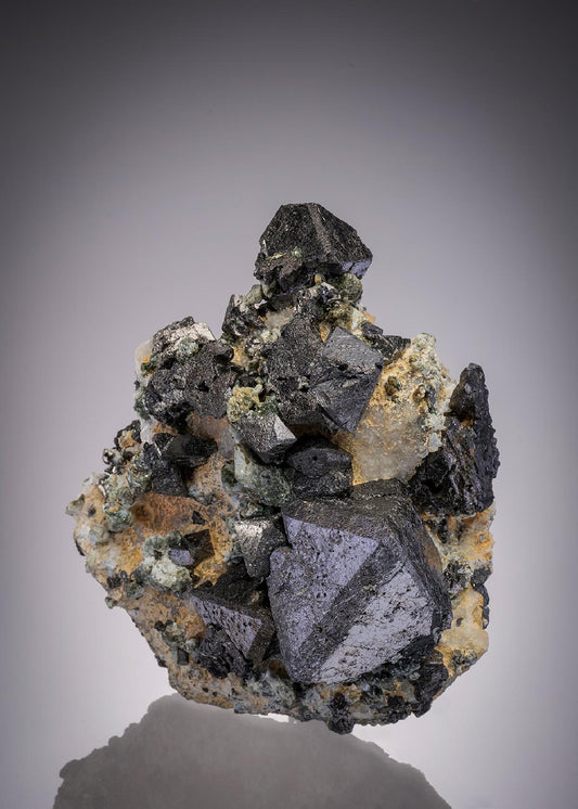 CC32131 specimen image