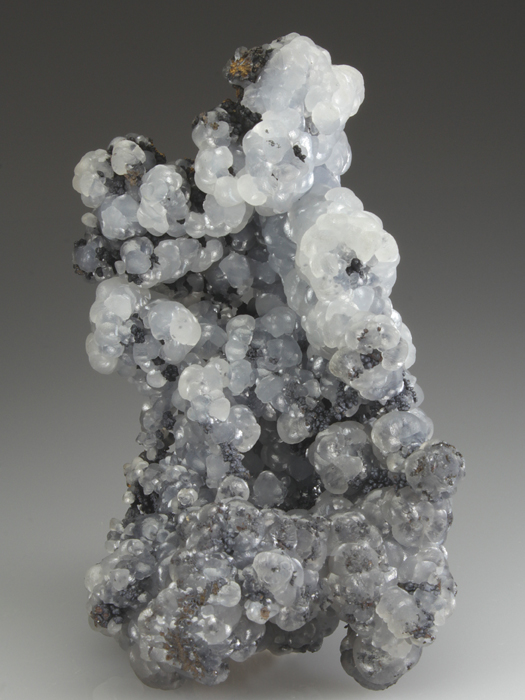 CC3215 specimen image