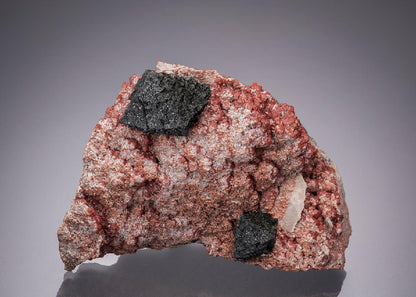 CC32197 specimen image