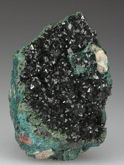 CC3220 specimen image