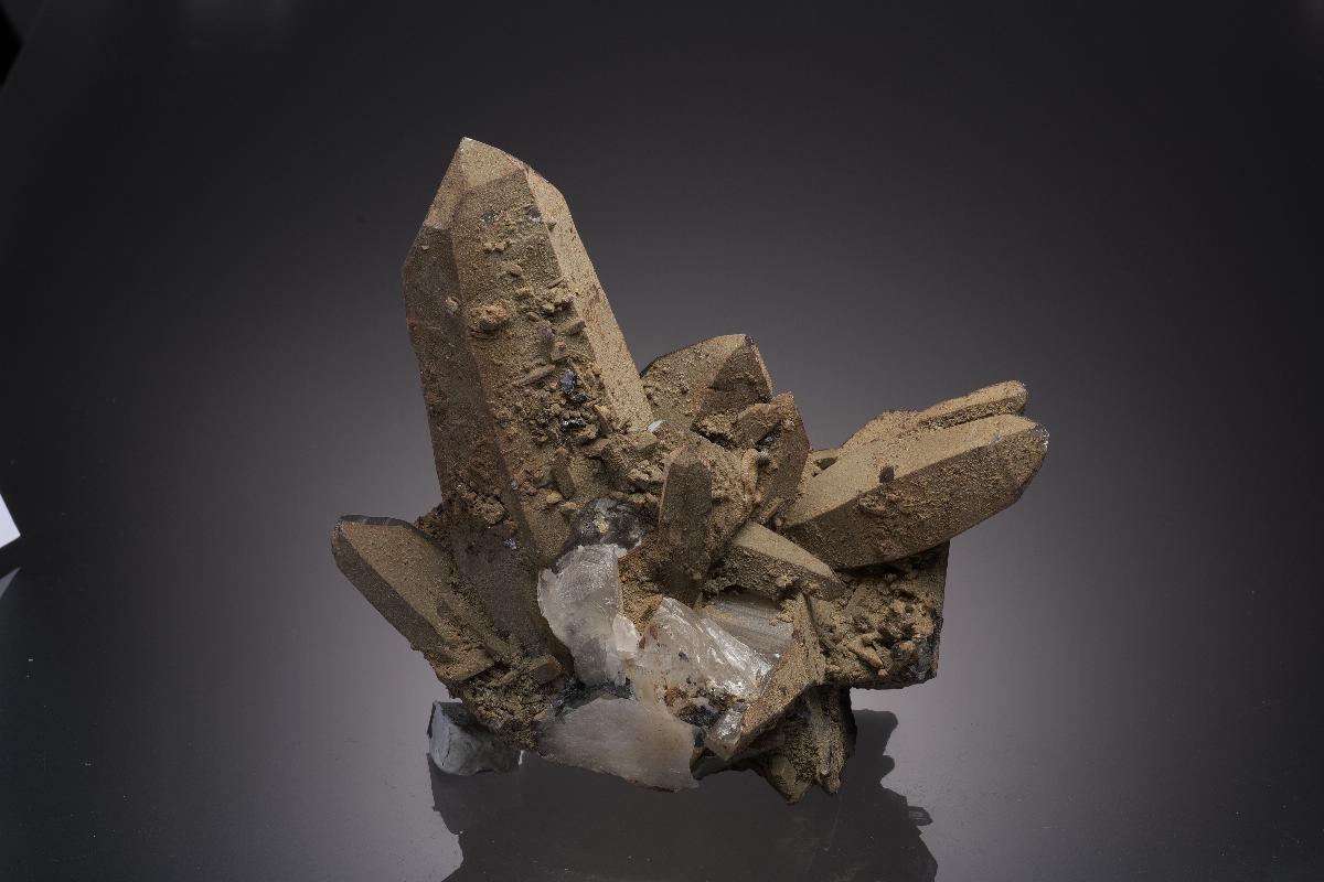 CC32227 specimen image