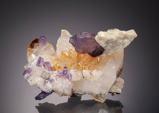 CC32242 specimen image