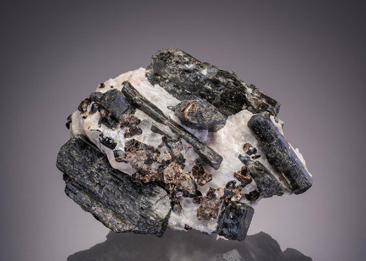 CC32260 specimen image