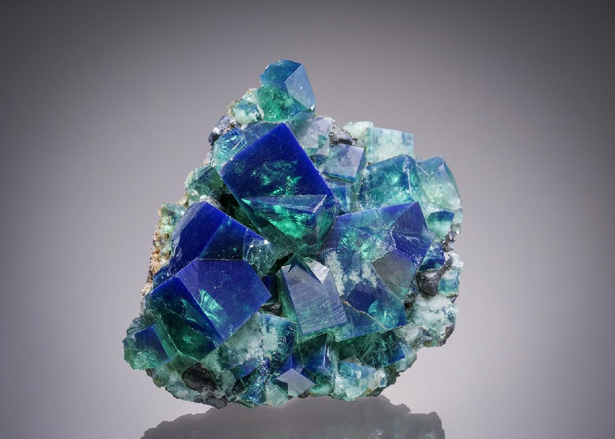 CC32287 specimen image
