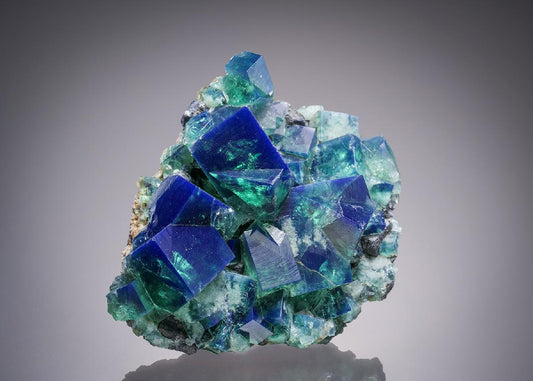 CC32287 specimen image