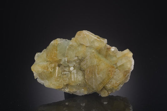 CC32305 specimen image