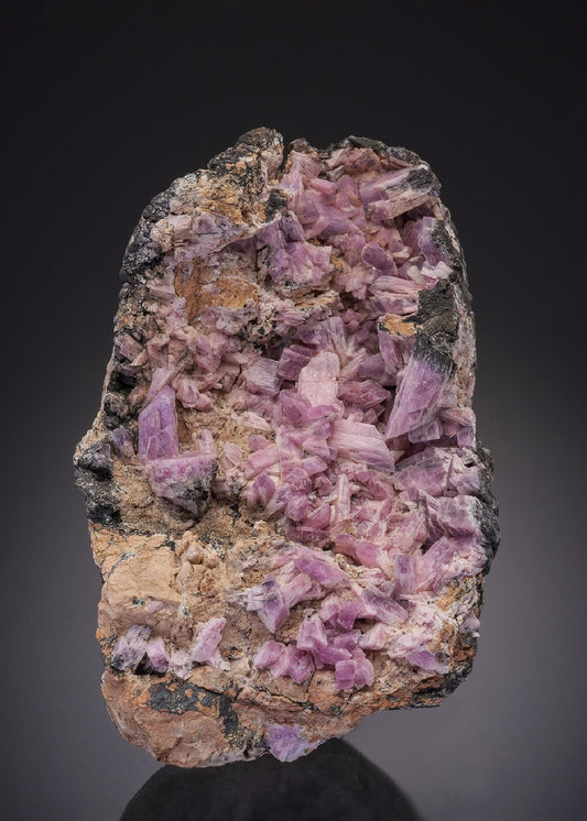 CC32326 specimen image