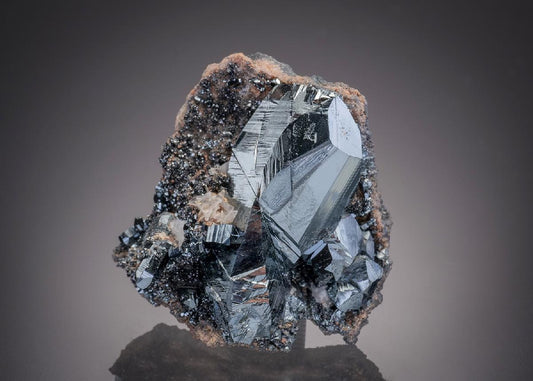 CC32362 specimen image