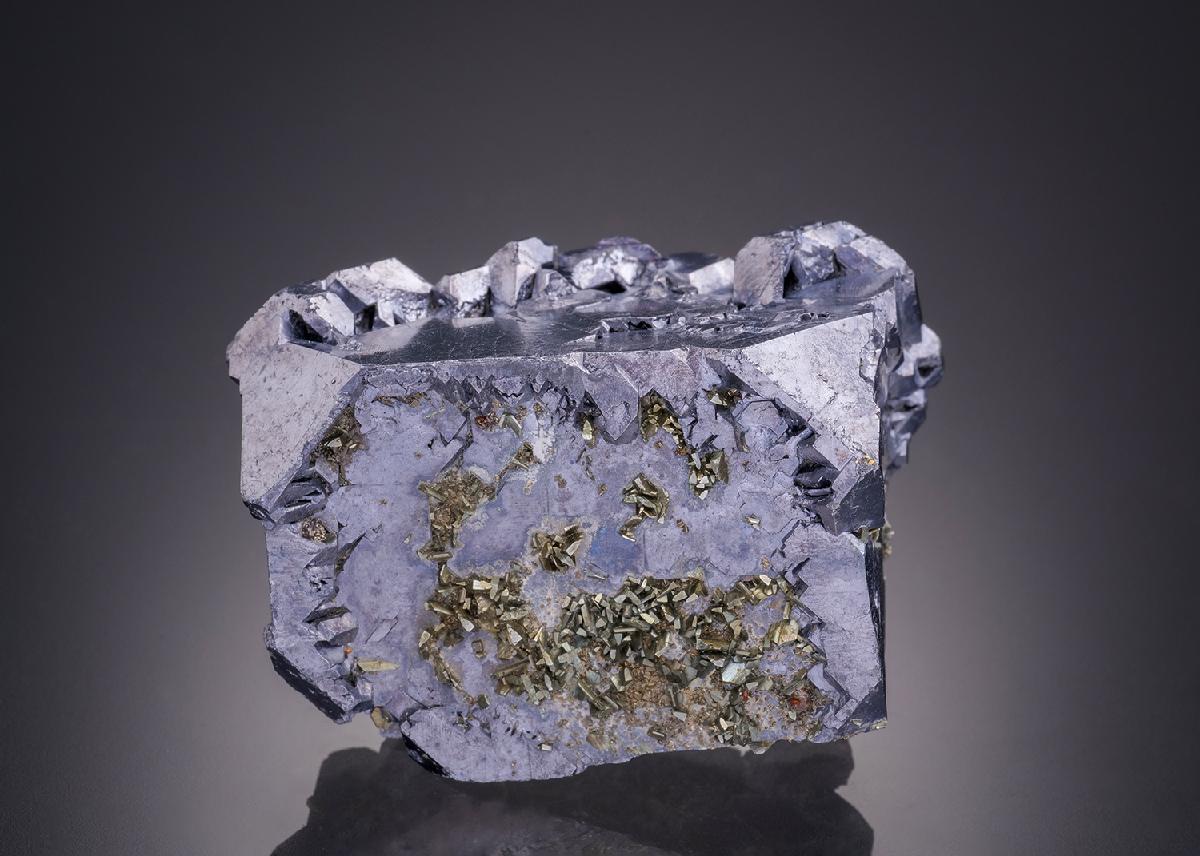CC32368 specimen image