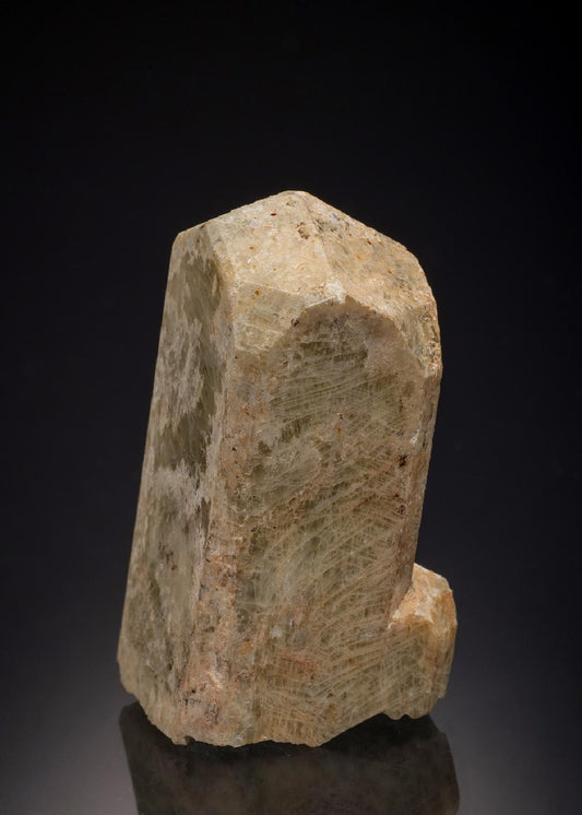 CC32392 specimen image