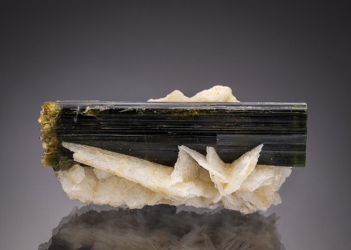 CC32404 specimen image