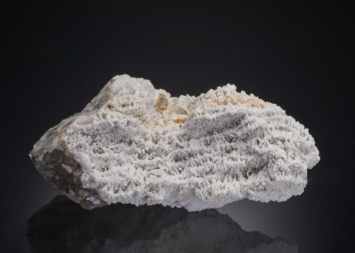 CC32431 specimen image