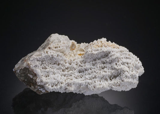CC32431 specimen image