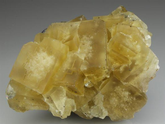 CC3246 specimen image