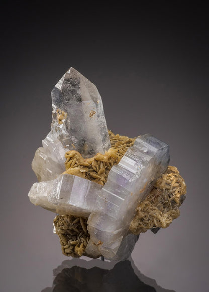 CC32467 specimen image