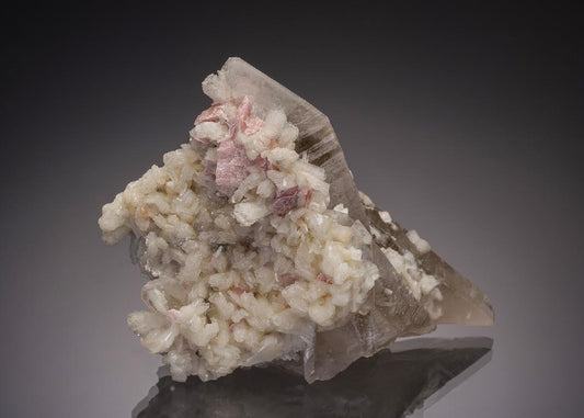 CC32470 specimen image