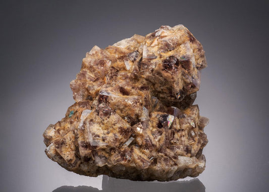 CC32509 specimen image