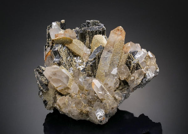 CC32518 specimen image