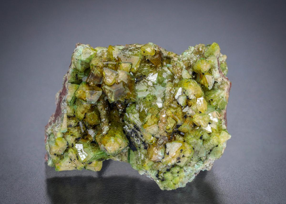 CC32533 specimen image