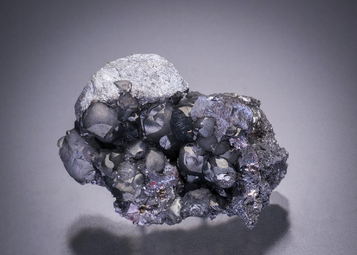 CC32542 specimen image