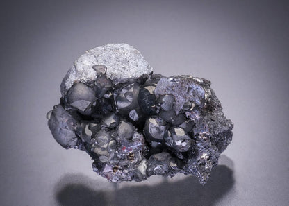 CC32542 specimen image