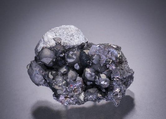 CC32542 specimen image