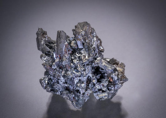 CC32545 specimen image