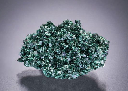 CC32548 specimen image