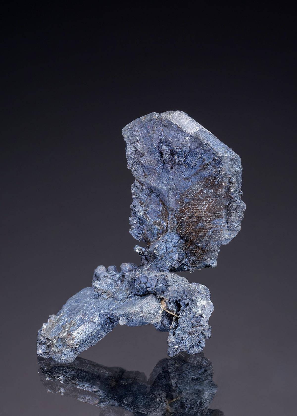 CC32551 specimen image