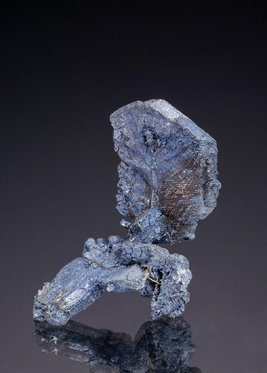 CC32551 specimen image