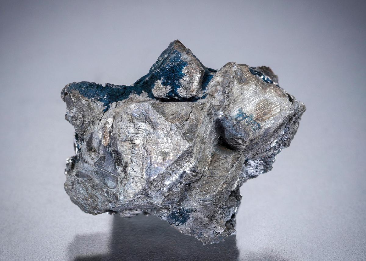 CC32560 specimen image