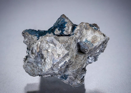 CC32560 specimen image