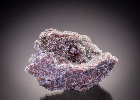 CC32575 specimen image