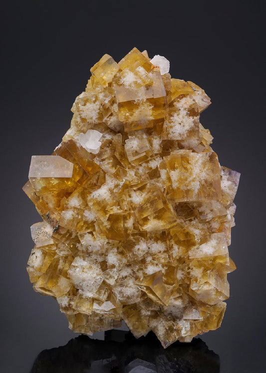 CC32578 specimen image