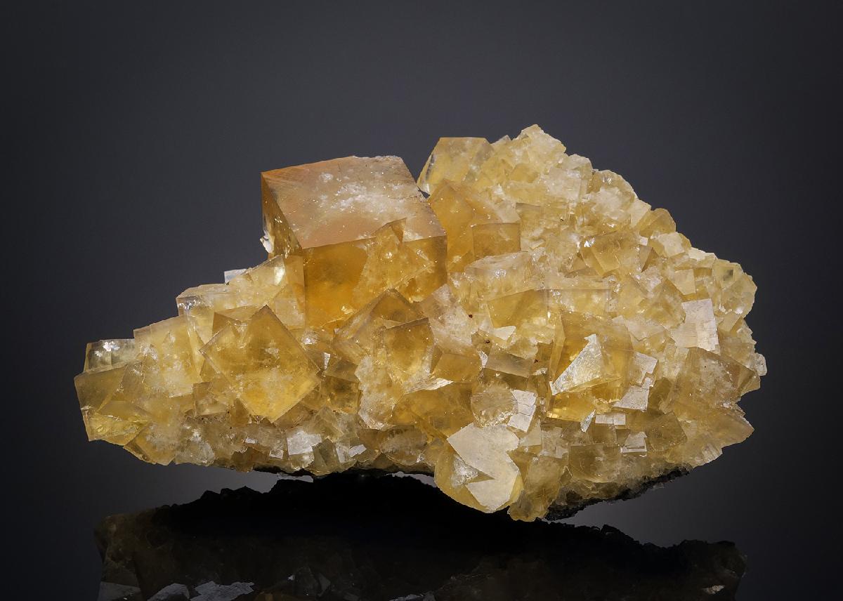 CC32581 specimen image
