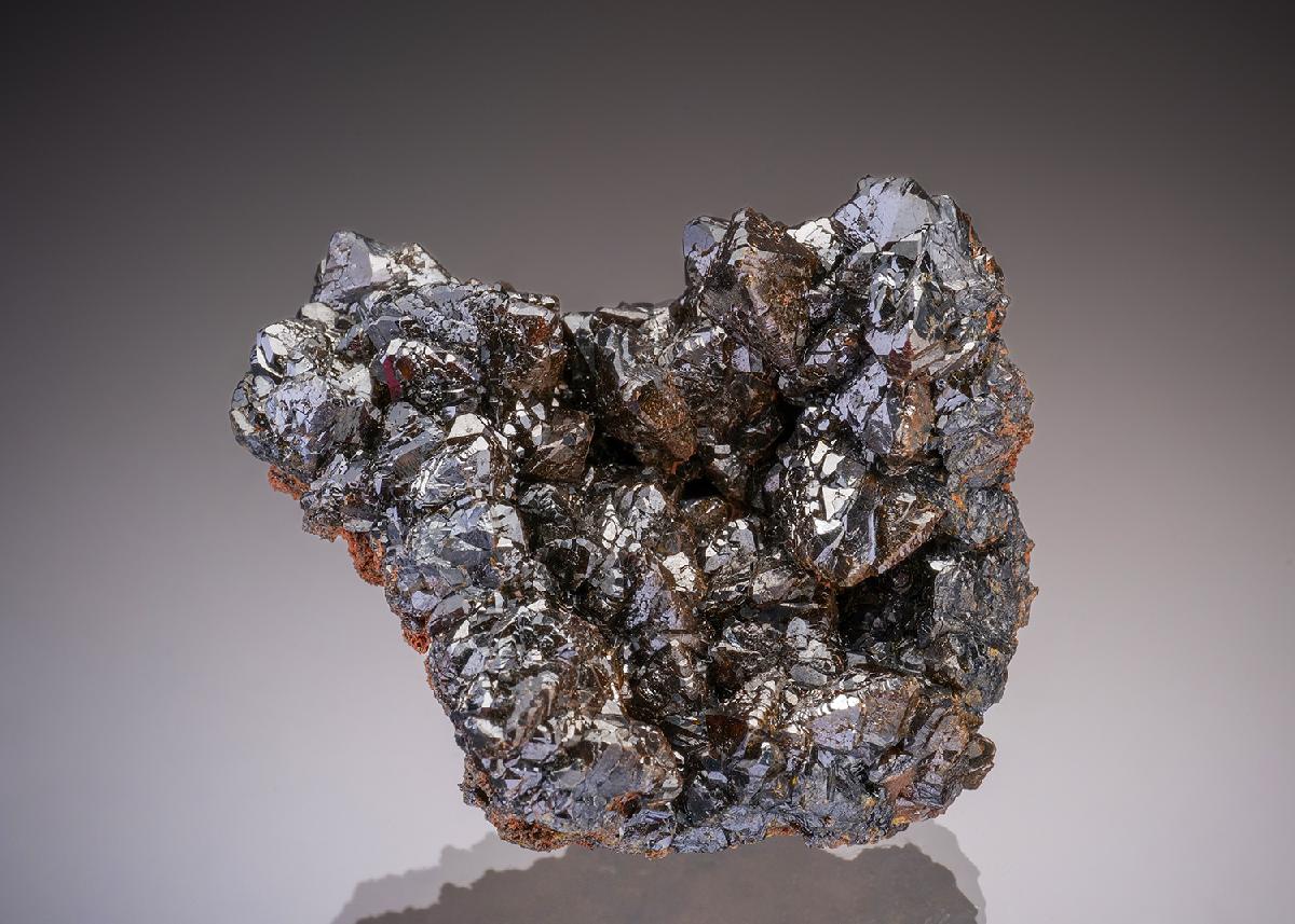 CC32656 specimen image