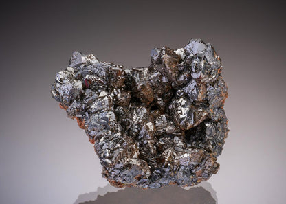 CC32656 specimen image