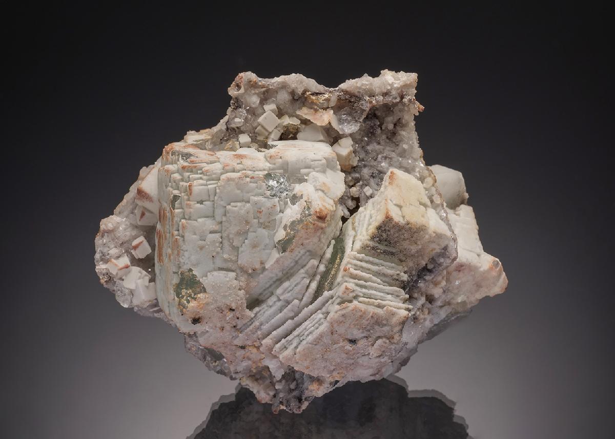 CC32764 specimen image