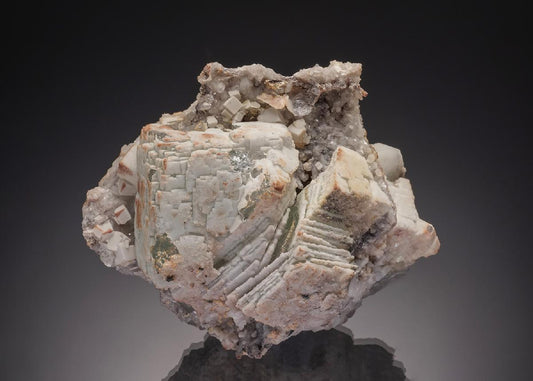 CC32764 specimen image