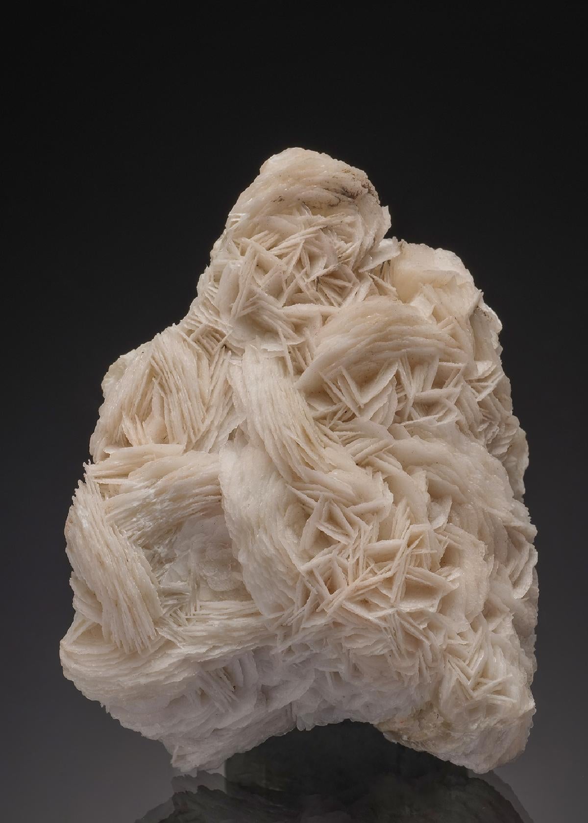 CC32788 specimen image